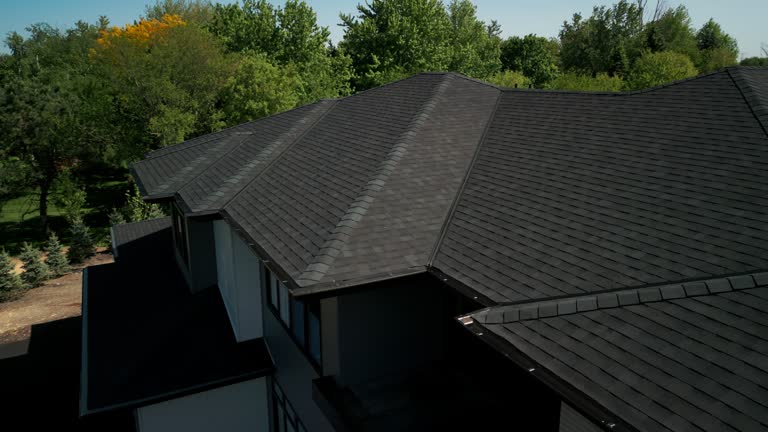 Best Roof Maintenance and Cleaning  in Revere, MA